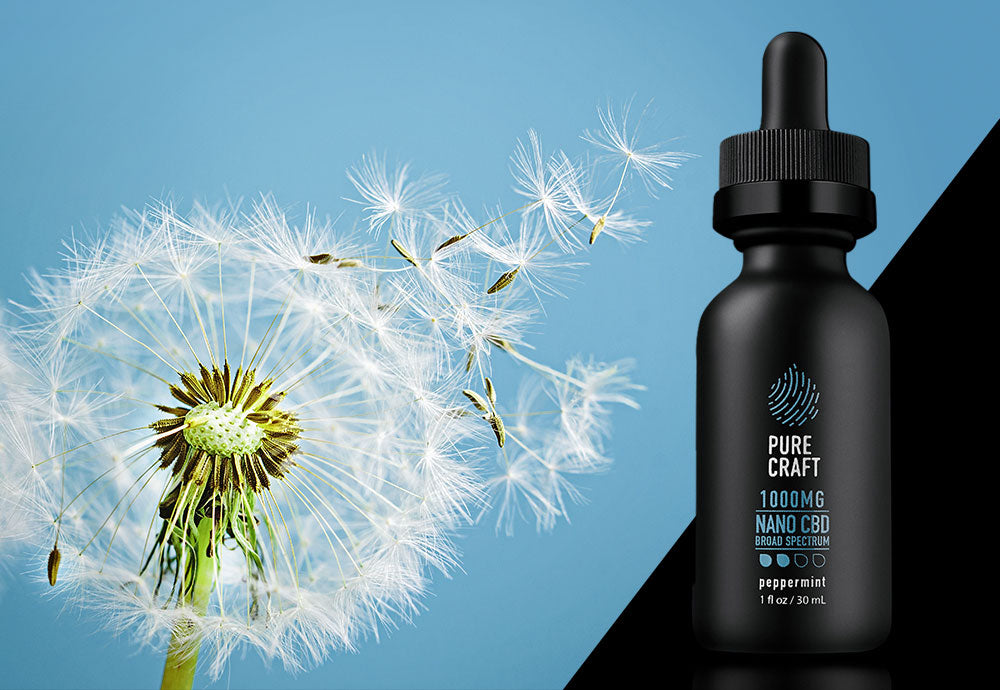 Can CBD Help Curb Seasonal Allergies?