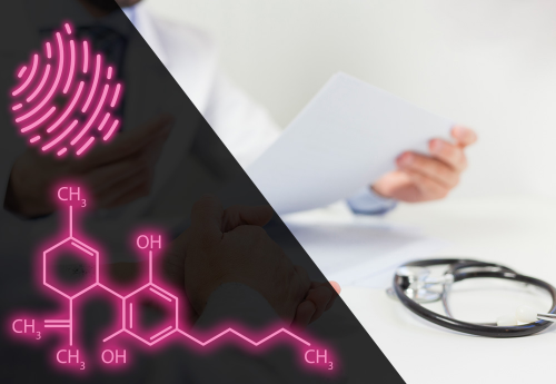 Medical vs Personal/Recreational CBD Use in Española, New Mexico